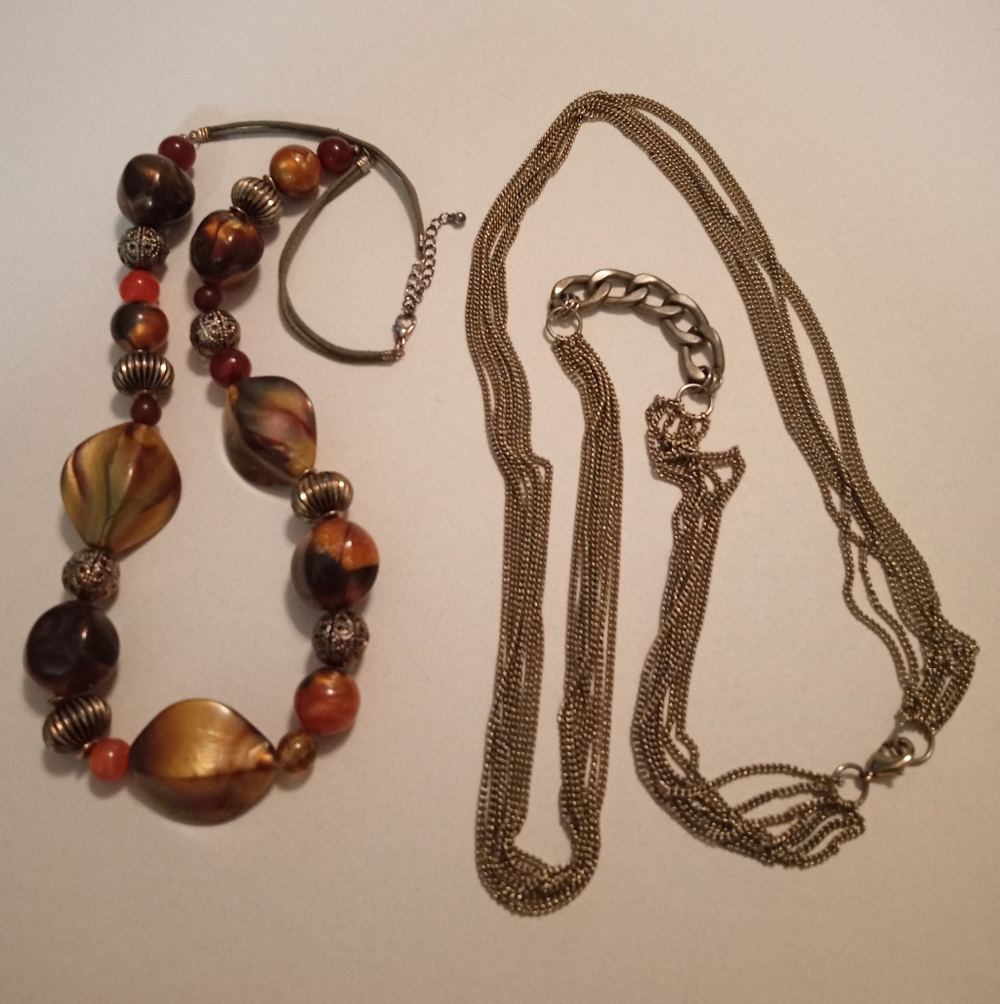 #459.  2 Piece Necklace Bundle